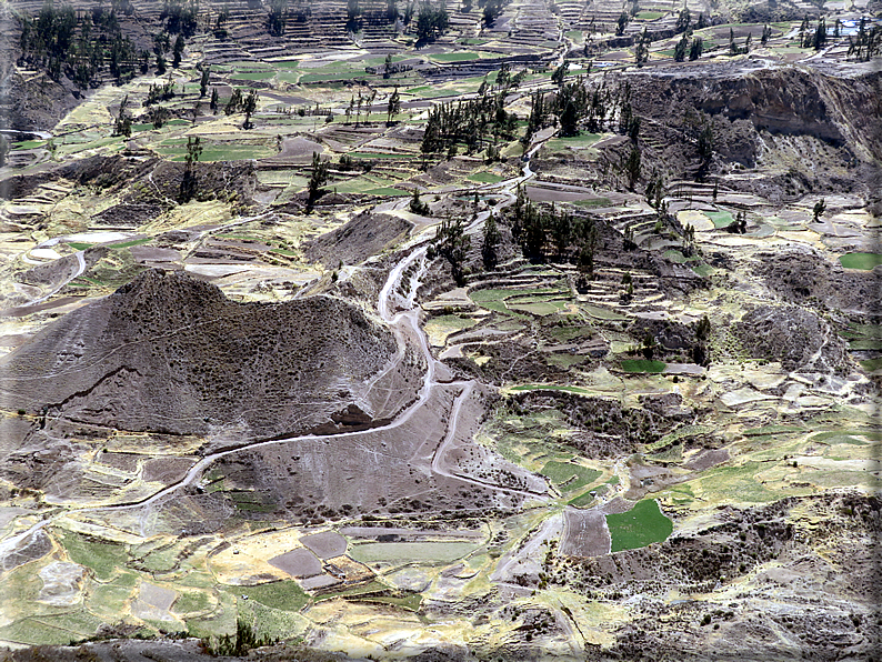 foto Canyon del Colca